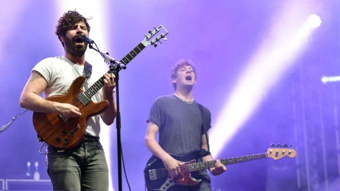 foals