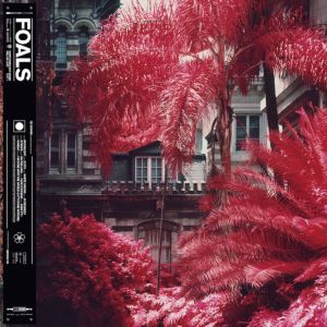 foals 1